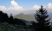 Tocht Stappen La Clusaz - ARAVIS: LES CONFINS _ TROU DE LA MOUCHE - Photo 18