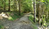 Trail Walking Saou - Petit et Grand Pomerolles - Forêt de Saoù - Photo 11
