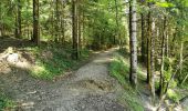 Tour Wandern Saou - Petit et Grand Pomerolles - Forêt de Saoù - Photo 11