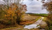 Tour Wandern Walcourt - GG-Na-17_Walcourt - Philippeville - Photo 6