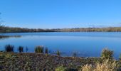 Percorso Marcia Couëron - Lac de Beaulieu 3 km - Photo 1