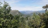 Trail Walking Rosans - le mont Fourchat - Photo 7