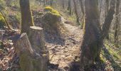 Trail Walking Sillingy - Âge tt à droite - Photo 3