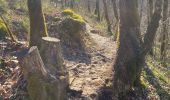 Trail Walking Sillingy - Âge tt à droite - Photo 3