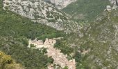 Excursión Senderismo Puéchabon - Le Plateau de Montcalmes par Puechabon - Photo 6