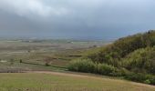 Tour Mountainbike Urbach bei Kaysersberg - Freland Ammerschwihr 3 Epis Labaroche - Photo 1