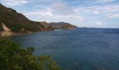 Randonnée Marche Terre-de-Haut - Les Saintes - J2 - Photo 7