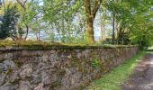 Trail Walking Theux - la reid . vert buisson . charmille / variante  - Photo 2
