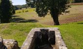 Randonnée Marche Fenioux - fenioux - Photo 12