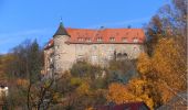 Tour Zu Fuß Wiesloch - Weinwanderweg Mannaberg - Photo 10