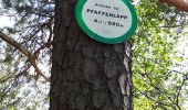 Tour Wandern Oberhaslach - Oberhaslach - Photo 12