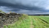 Randonnée A pied Barnsley - Penistone Boundary Walk - Photo 3