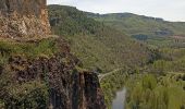 Tour Wandern Nant - Nant Cantobre Nant - Photo 7