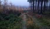 Randonnée Marche Stoumont - 10km sous la pluie autour de Lorcé - Photo 8