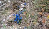 Percorso A piedi Jonchères - montagne de  Praloubeau - Photo 5