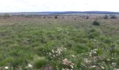 Excursión Senderismo Waimes - HAUTES FAGNES - Photo 1