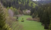 Percorso A piedi Geroldsgrüner Forst - Säuerlingsweg DÖ 97 - Photo 4