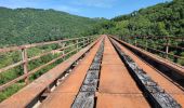 Percorso Marcia Bassignac - 250624 - Vendes - Viaduc Soumène - Photo 2