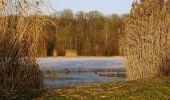 Randonnée A pied Vaihingen an der Enz - VE6 Bartenberg-Rundweg - Photo 8