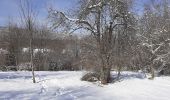 Randonnée Raquettes à neige Les Déserts - plainpalais circuit - Photo 1