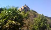 Excursión Senderismo Castelnaud-la-Chapelle - Vézac 20,5km - Photo 1