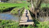 Trail Walking Namur - Saint Marc 030423 - Photo 12