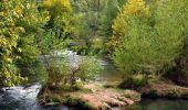 Tour Wandern Les Arcs-sur-Argens - Trace_Les_Arcs - Photo 9