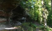 Trail Walking Saint-Quirin - lettenbach croix Guillaume vieux château  - Photo 10