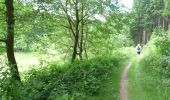 Tour Zu Fuß Lierneux - GrWandArdRiv26: Bra de groene driehoek tussen Lienne en Chavanne - Photo 5