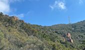 Excursión Senderismo Saint-Raphaël - col de la Cadière depuis le Belle-Barbe  - Photo 6