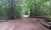 Trail Walking Aywaille - dieupart . embleve . thier bosset . kin . henoumont . vieux jardin . dieupart  - Photo 19
