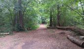 Tour Wandern Aywaille - dieupart . embleve . thier bosset . kin . henoumont . vieux jardin . dieupart  - Photo 19