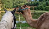 Tour Reiten Lambach - Promenade autour de Bitche - Photo 11