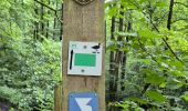 Tour Wandern Weismes - Robert ville barrage - Photo 7