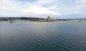 Excursión Senderismo Camaret-sur-Mer - Autour de Camaret sur Mer - Photo 19