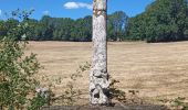 Tour Wandern Curières - la croix du Pal - Photo 1