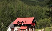 Trail On foot Forni di Sopra - IT-346 - Photo 6