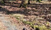 Trail Walking Bertrix - adeps framont  - Photo 9