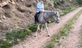 Excursión Paseo ecuestre Celles-sur-Plaine - Ar equiplaine sortie de fin d’année 6.11.22 - Photo 4