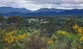 Percorso Marcia Trans-en-Provence - Le vallon du Rousset et le vallon des Prouits - Photo 9