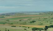 Excursión Senderismo Sangatte - CANI-RANDO TOUR (boucle Cap Blanc nez) - Photo 7