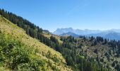 Excursión Bici de montaña Châtel - abondance  - Photo 4