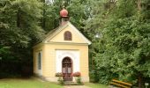 Tour Zu Fuß Rohrbach an der Lafnitz - Wallfahrerweg St Johann - Fieberbründl - Photo 3