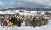 Randonnée A pied Brotterode-Trusetal - Rund um den Seimberg - Photo 10