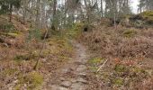 Randonnée Marche Fontainebleau - L'inspecteur général - Photo 7