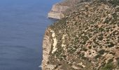 Trail Walking Dingli - MALTE 2024 / 01 Dingly's Cliffs - Photo 5