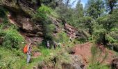 Percorso Marcia Trans-en-Provence - Le vallon du Rousset et le vallon des Prouits - Photo 7