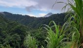 Excursión Senderismo Le Morne-Rouge - Le Morne-Rouge  -  Le  Carbet par Col Yang Ting - Photo 16