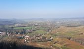 Tocht Stappen Château-Chalon - Château-Chalon boucle 11km - Photo 9