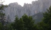 Randonnée Marche Die - Le Glandasse - Col des Bachassons par Valcroissant - Photo 16